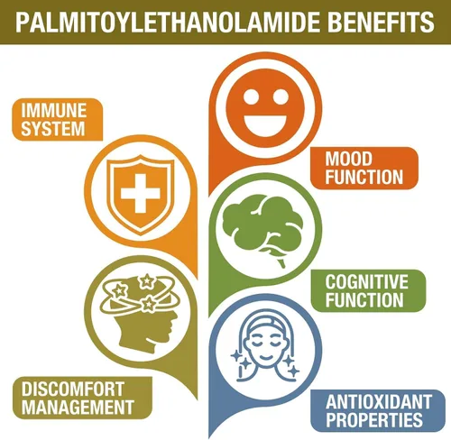 Miniatura 3 de Palmitoiletanolamida de 1500 mg con luteolina 98% y cúrcuma, alta absorción, suplemento de guisantes micronizados para el manejo de molestias