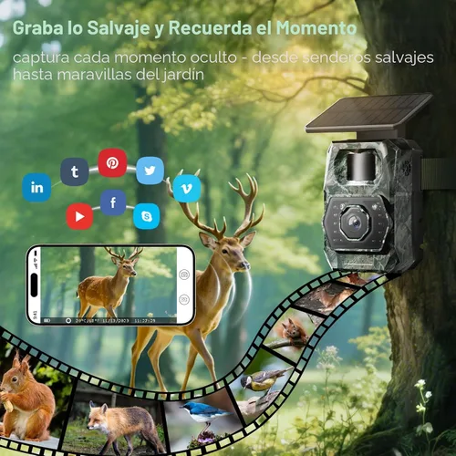 Miniatura 9 de Cámara de Rastreo Solar WiFi Bluetooth - Cámaras de Caza con Visión Nocturna, Sensor de Movimiento, Impermeable, Cámara de Ciervos Recargable