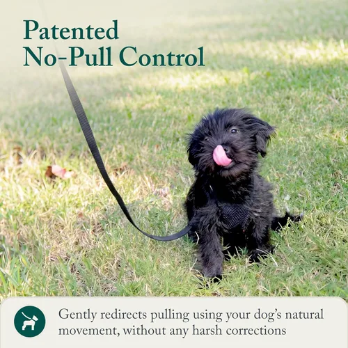 Miniatura 6 de Arnés para perro Sporn sin tirones para perros pequeños - Negro de malla, nylon resistente, transpirable, liviano, ajustable, acolchado, suave