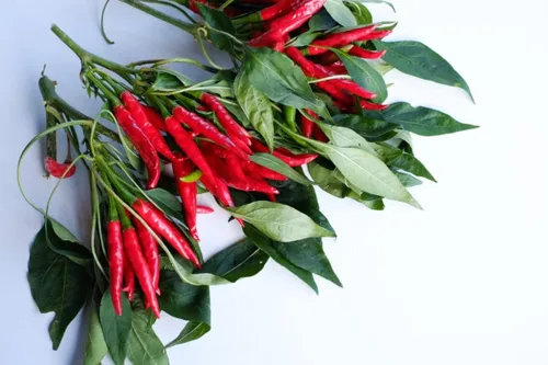 Miniatura 2 de Semillas de pimienta de cayena roja - 100 semillas - Cultiva chiles rojos - Ideal para comer o chile en polvo