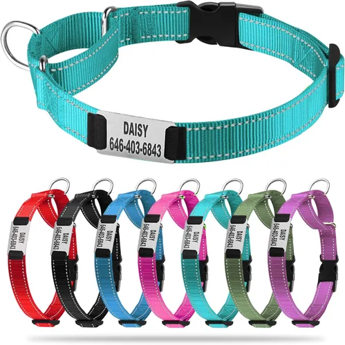 Miniatura 2 de Collar de perro Martingala personalizado con hebilla de bloqueo, collares de perro Martingala de entrenamiento personalizados grabados con nombre