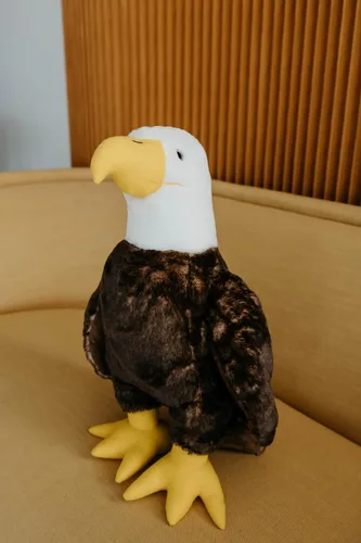 Miniatura 7 de The Petting Zoo Peluche de águila calva, regalos para niños, animales salvajes del zoológico Onez, juguete de peluche de águila calva de 12 pulgadas