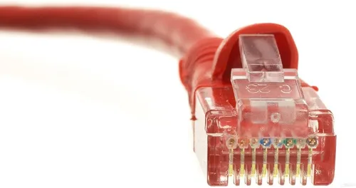 Miniatura 17 de CableWholesale Cable Ethernet Cat6, 24AWG, conector de placa dorada RJ45, 4 pares de cobre trenzado, par trenzado sin blindaje (UTP), cable de Blanco