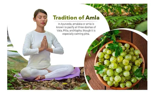 Miniatura 4 de Amla Powder 1 lb (16 onzas) Procesado a partir de bayas silvestres Amla cultivadas orgánicamente sin OMG No irradiado Sin gluten crudo Sin