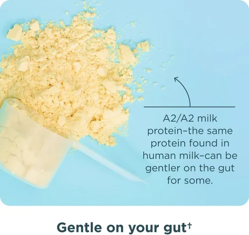 Miniatura 8 de Ancient Nutrition Proteína de suero en polvo alimentada con hierba, grano de vainilla, 35 porciones + polvo de péptidos de proteína de colágeno