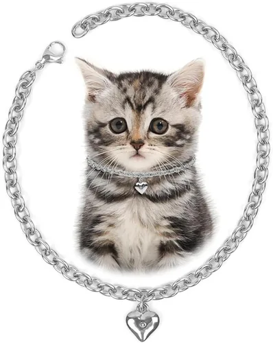 Miniatura 11 de HOWWFALY Collar para Perro y Cadena Collar para Gato de Acero Inoxidable Ajustable Collar en Forma de Corazón de Oro 18K para Mascotas Pequeñas