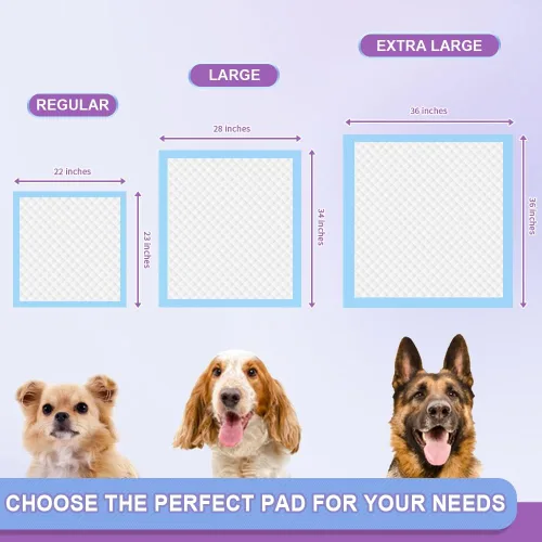Miniatura 6 de IMMCUTE Almohadillas desechables para orina de cachorros de 22 x 23 pulgadas, 80 unidades, almohadillas de entrenamiento para orina de perro