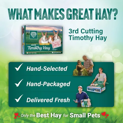 Miniatura 6 de Small Pet Select Heno Timothy de 3er corte, alimento animal para conejillo de indias, conejo, hámster, conejo o chinchilla, heno natural cultivado