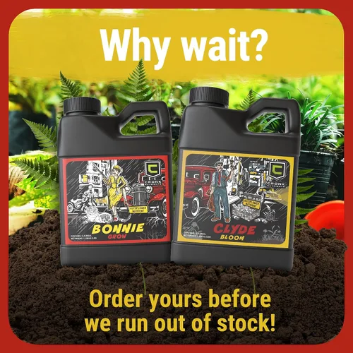 Miniatura 7 de Cronk Nutrients Bonnie & Clyde Autofloreciente Nutrients Bloom and Grow - Kit de nutrientes para plantas autoflorecientes que aumentan