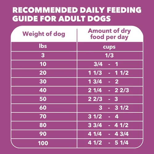 Miniatura 9 de Comida para perros adultos y mayores seca IAMS PROACTIVE HEALTH , Adulto maduro