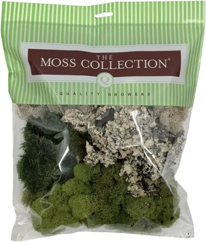 Miniatura 8 de Quality Growers - Paquete variado de la colección Moss - Musgo decorativo natural - Manualidades, decoración del hogar, proyectos de arte, diseño