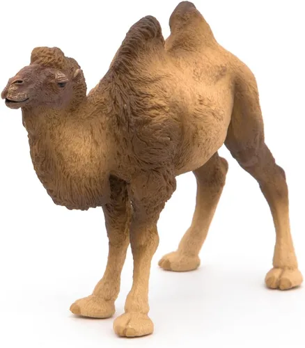 Miniatura 9 de Papo - Figura realista de camello bactriano para niños - A partir de 3 años - Colección Wild Life - Animales exóticos educativos - Juguete de idea