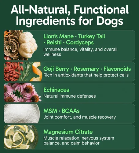 Miniatura 3 de K9 Immune, Polvo de Hongos 100% Natural para Perros para Inmunidad, Digestión, Articulaciones y Energía, Rico en Antioxidantes y Fabricado