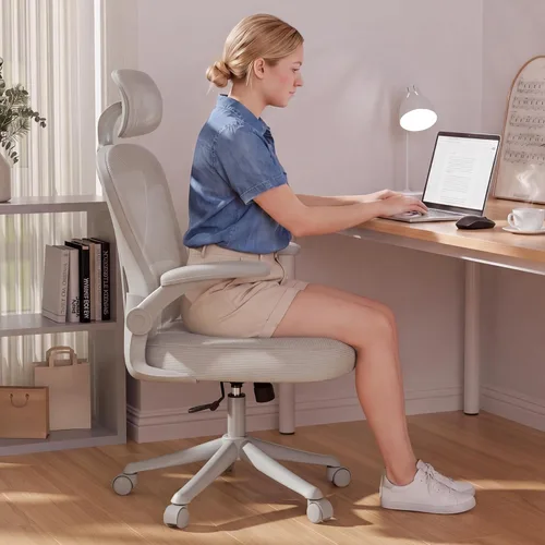 Miniatura 3 de SeekFancy Silla de Oficina Ergonómica M903, Silla de Escritorio para Computadora con Ruedas, Silla de Oficina de Malla de Respaldo Alto con Soporte