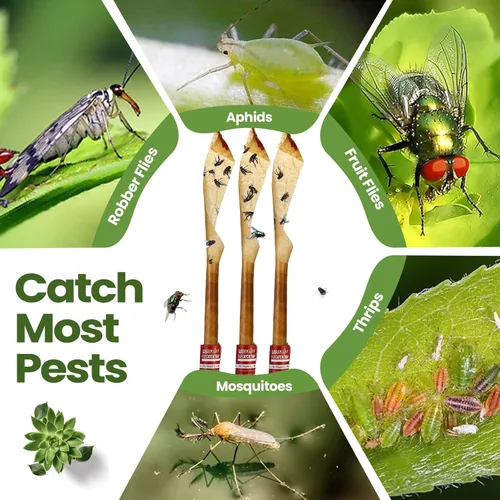 Miniatura 5 de Qualirey Paquete de 80 tiras adhesivas para moscas para interiores y exteriores, cinta adhesiva para colgar insectos voladores, trampas para Rojo