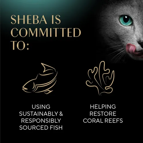 Miniatura 9 de Sheba Perfect Portions - Cortes de comida húmeda para gatos en salsa, con salmón sostenible, plato de trucha tierno y con atún sostenible, bandejas