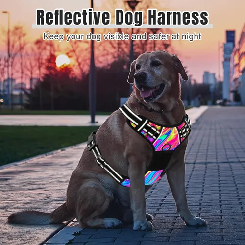 Miniatura 6 de Rnivvi Arnés para perro sin tirones, bonito arnés reflectante de tamaño extra pequeño, chaleco acolchado suave ajustable para perros pequeños