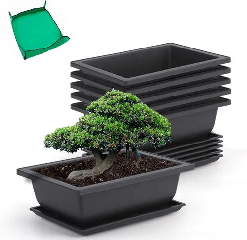 Miniatura 10 de GROWNEER 3 Macetas para Bonsái de 6.5 Pulgadas con Bandejas de Drenaje y Humedad y 1 Alfombrilla de Trasplante, Maceta de Entrenamiento para Árbol