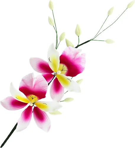 Miniatura 12 de Global Sugar Art Cattleya Orchid Sugar Cake - Aerosol para tartas de azúcar, blanco, 1 unidad por el chef Alan Tetreault
