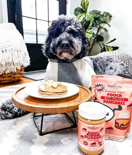 Miniatura 5 de BUDDY BUDDER Panqueques de cumpleaños de Bash Pooch - Regalo divertido, brunch con tu cachorro, o apilarlos para cumpleaños de perro con vela, 100%