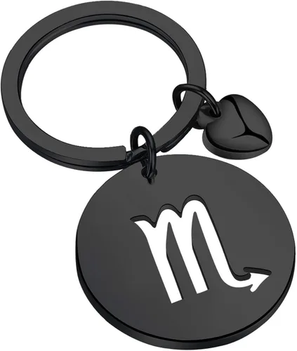 FAADBUK Llavero de signo del zodiaco CZ Horóscopo regalo 12 Constelación llavero para mujeres hombres