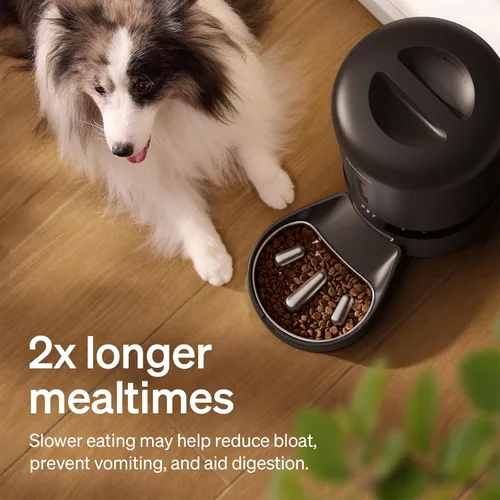 Miniatura 4 de PETLIBRO Comedero automático para perros con cámara, dispensador automático de comida para gatos, comedero lento para perros, video HD 1080P