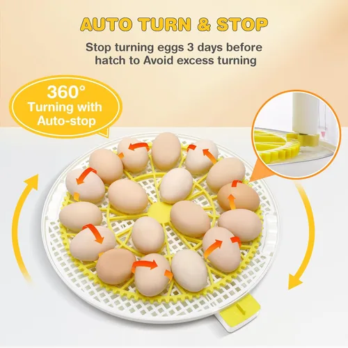 Miniatura 4 de Sailnovo Incubadora de 18 huevos para incubar huevos con giro automático de huevos, pantalla de nivel de humedad, vela de huevos, días de eclosión e