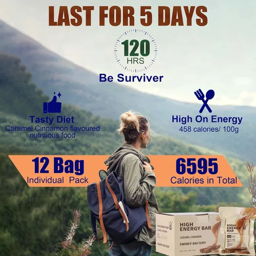 Miniatura 4 de Barras de alimentos de emergencia - Hardtack de caramelo y canela, MRE Meals Military 2025, larga vida útil, barras de ración de comidas