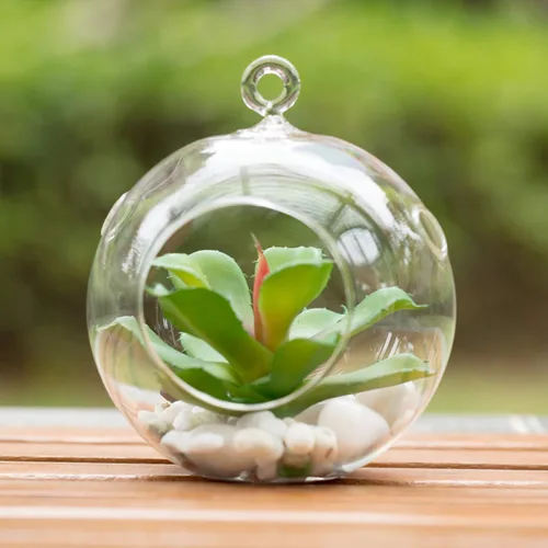 Miniatura 5 de WGV Globo de terrario colgante, ancho 5 pulgadas, altura 6 pulgadas, maceta de aire para suculentas, florero de vidrio transparente con parte