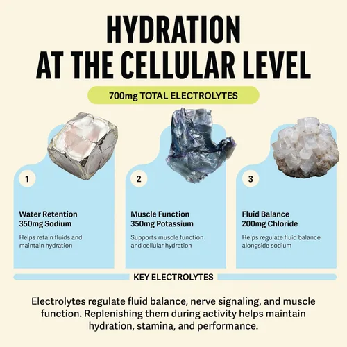 Miniatura 4 de ZEST Paquetes de bebidas energéticas de hidratación y preentrenamiento, polvo de electrolitos limpios con 250 mg de cafeína, 14 barras de polvo