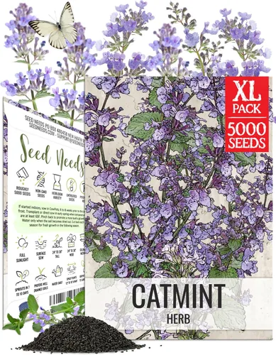 Miniatura 12 de Seed Needs Semillas de albahaca para plantar hierbas de albahaca tailandesa, reliquia sin OMG y sin tratar, cultiva un jardín de hierbas culinarias