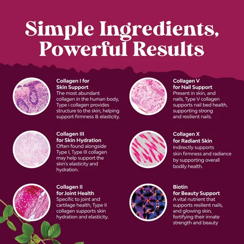Miniatura 3 de Advanced Multi Collagen Complex – Ageless - Suplementos de péptidos de colágeno múltiple con tipo 1 2 3 5 y X y biotina para el cabello, la piel