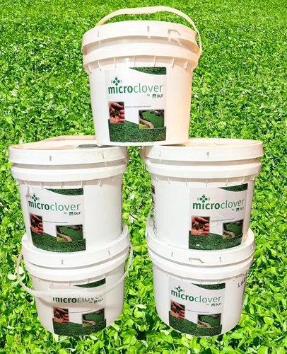 Miniatura 4 de Micro Clover - (8 onzas) recubierto de nitro, 120,000 semillas en total - Cubre hasta 1,000 pies cuadrados. Transforma tu césped con semillas