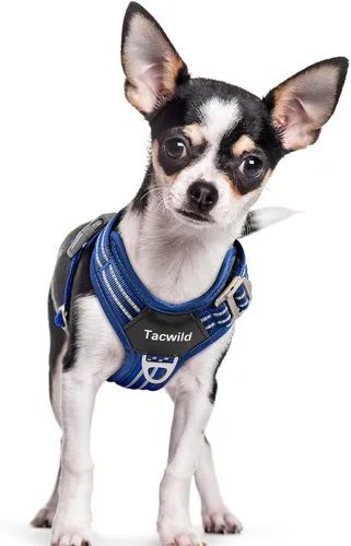 Miniatura 28 de Arnés sin tirones para perro, chaleco reflectante ajustable con broche de metal, malla suave transpirable sin estrangulamiento para cachorro, fácil