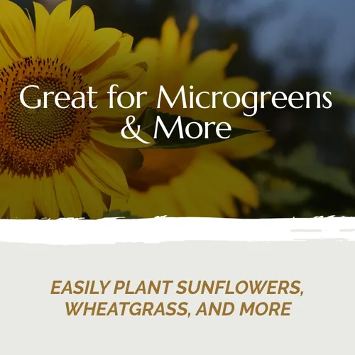 Miniatura 5 de Chanvra Grow Microgreens - Tapete de cultivo natural para kits de brotación de cultivo, almohadillas de cáñamo hidropónicas, tapete de cultivo