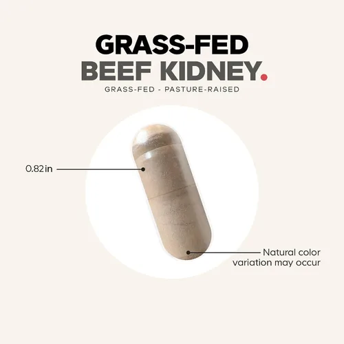 Miniatura 8 de Codeage Suplemento de riñón de carne de res alimentada con pasto – Liofilizada, no desgrasada, desecada, dieta de glandulares de riñón de carne