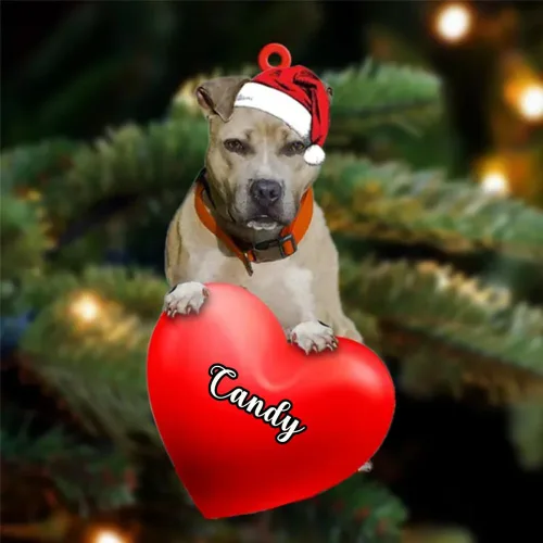 Miniatura 157 de Adornos de Navidad personalizados para perros, nombre personalizado, adorno de Malamute de Alaska, adornos acrílicos, regalos de Navidad, amantes