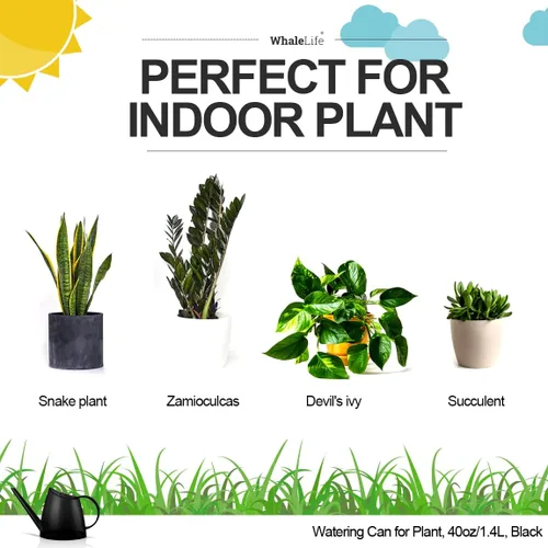 Miniatura 2 de WhaleLife Regadera interior para plantas de bonsái de casa (1.4L, negro)