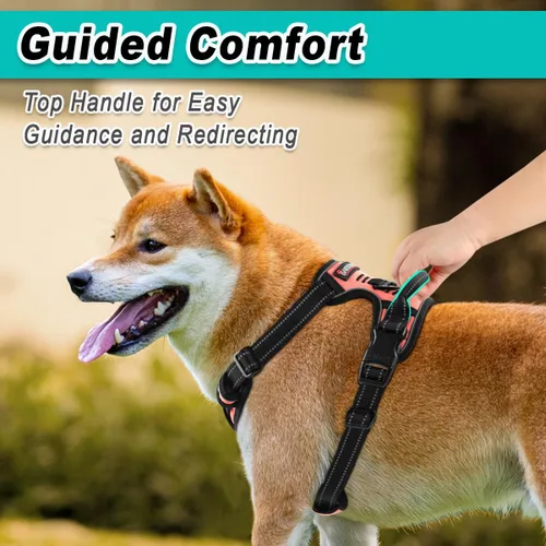 Miniatura 4 de BARKBAY Arnés para perro sin tirones para perros medianos, ajustable, reflectante, cómodo, sin estrangulamiento, resistente - perfecto para Rosa