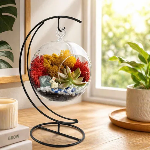 Miniatura 11 de Creations by Nathalie Kit de terrario casero de 18 cm en forma de lágrima con plantas vivas - Maceta colgante de vidrio con soporte para adultos