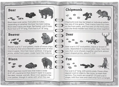 Miniatura 7 de Masterpieces Jr Ranger Poop Tracks, juego de cartas para edades de 6 años, 2-6 jugadores, mediano