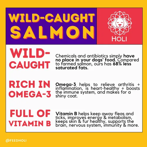 Miniatura 4 de HOLI Alimento de salmón liofilizado para perros, con Omega 3 y 6, un solo ingrediente, salmón capturado en la naturaleza de grado humano