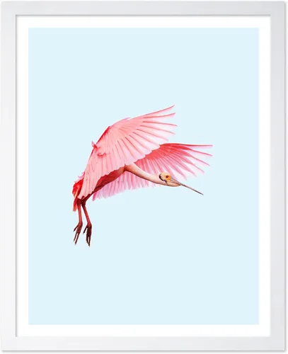 Miniatura 43 de Poster Master Vintage James Audubon Póster - Impresión Retro de Cuervo - Arte de Aves de América - Arte de Aves - Regalo para Hombres, Mujeres
