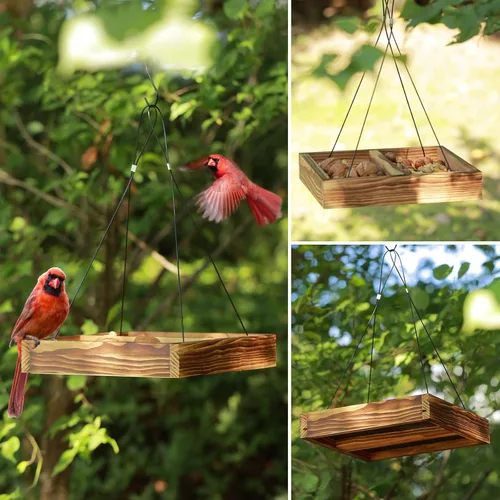 Miniatura 6 de MIXXIDEA Bandeja colgante para comedero de pájaros, bandeja de semillas de madera, bandeja colgante para colibríes, plataforma de semillas de malla