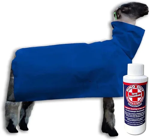Miniatura 2 de Manta de oveja de nailon azul con trasero de malla para mostrar ovejas y cordero, suministros de ganado para cubierta de ovejas. Concentrado