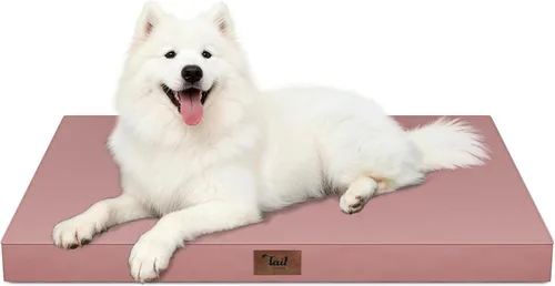 Miniatura 44 de Cama ortopédica de felpa para perros y cachorros medianos, camas impermeables para perros de 30 x 20 pulgadas con funda extraíble lavable, tapete