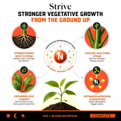 Miniatura 4 de Strive Fertilizer Part A Package – Nutrientes hidropónicos generales Veg + Bloom – Alimento vegetal de primera calidad para interiores, exteriores