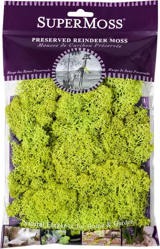 Miniatura 14 de Super Moss 21669 - Musgo de reno preservado, Chartreuse, 8 onzas (200 pulgadas cúbicas)