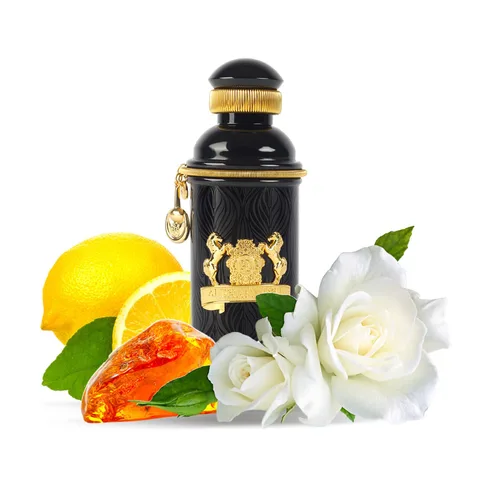 Miniatura 5 de Alexandre J Black Muscs Eau de Parfum Spray para mujer, 3.4 onzas
