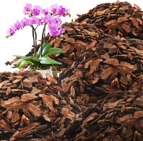 Miniatura 14 de AVALUTION Corteza para macetas de orquídeas: corteza de orquídea orgánica de 3 cuartos para plantas, todos los chips de madera de corteza de pino